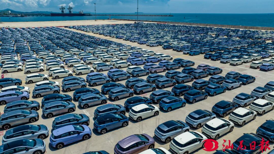 小漠国际物流港内，待出口的新能源汽车。

