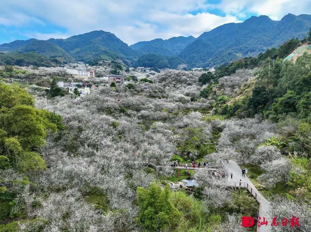 赛马比拼创新绩竞标争先促发展各县市区党工委主要负责人在全市百千万