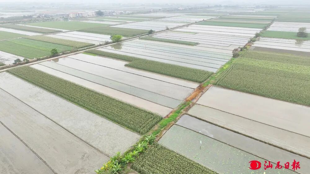 梅陇镇推进农田水利工程建设，解决群众农田灌溉问题。