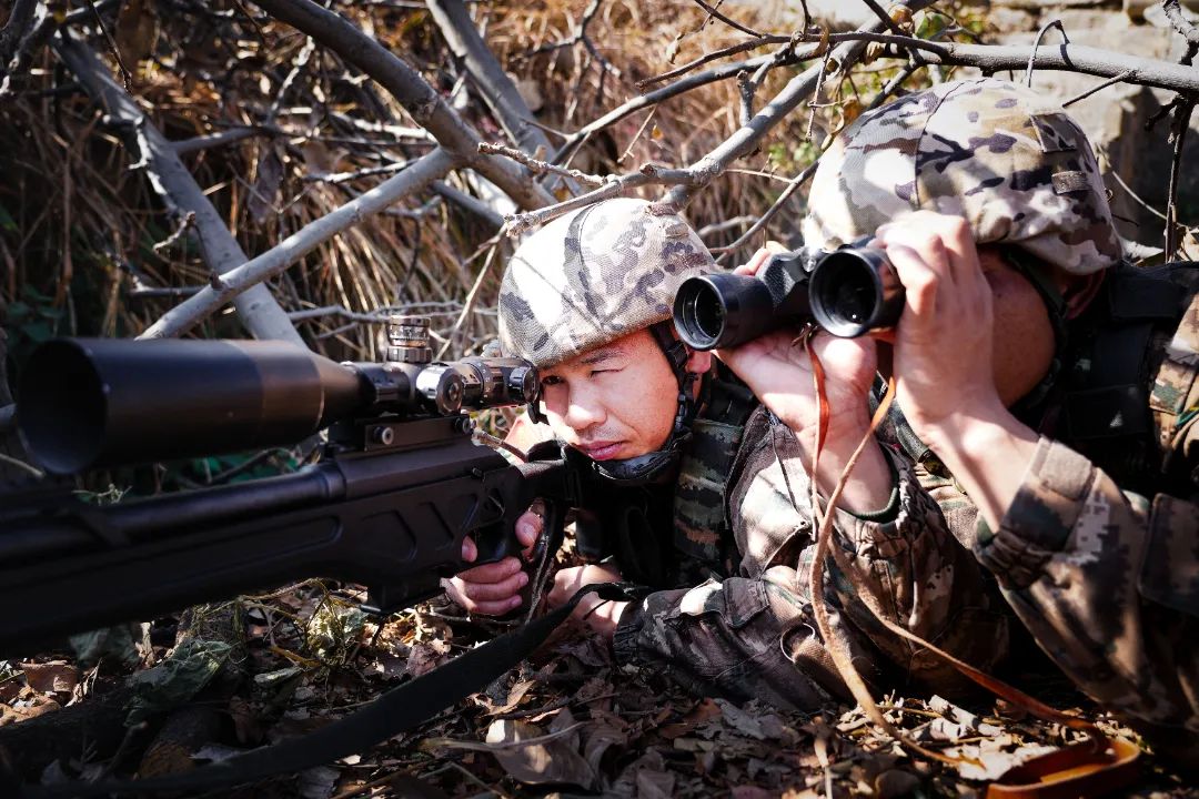 時隔6年再捧杯，廣東女籃何以逆襲奪冠？