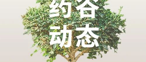 cover_image