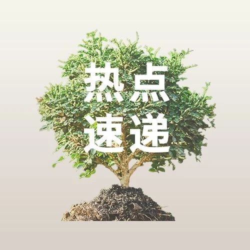 cover_image