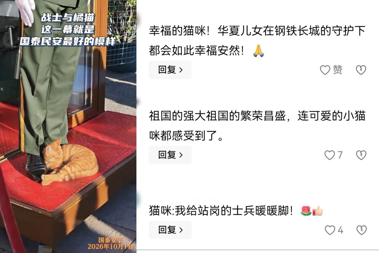 全网刷屏的天安门小猫，后续来了！
