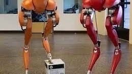 Cassie双腿机器人