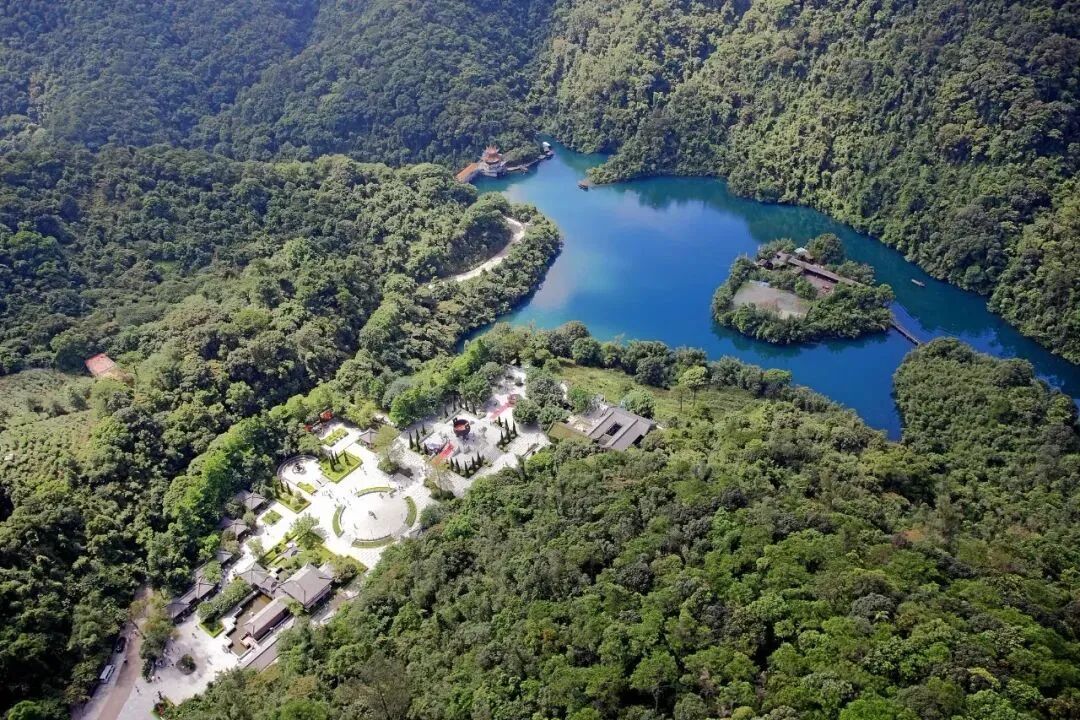 【鼎湖山水名城 】连钟南山,孙耀威都打call的鼎湖山,是什么神仙存在?