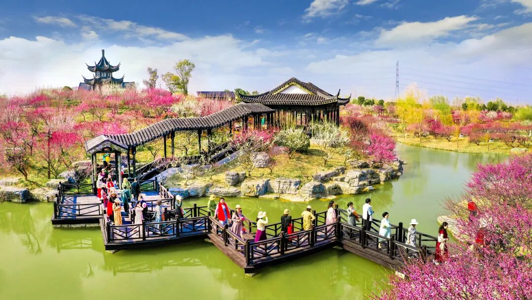 我在盐城遇见美夏日暖风生麦气绿阴幽草胜花时