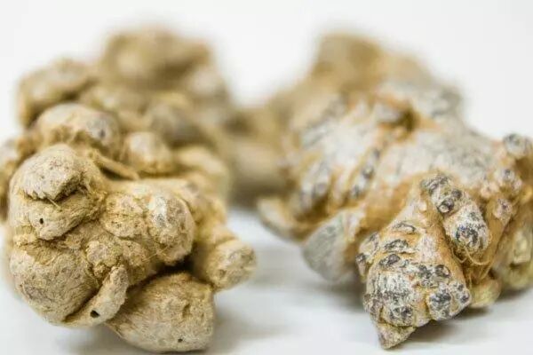 三七真的能降血压吗？高血压患者能吃三七吗？