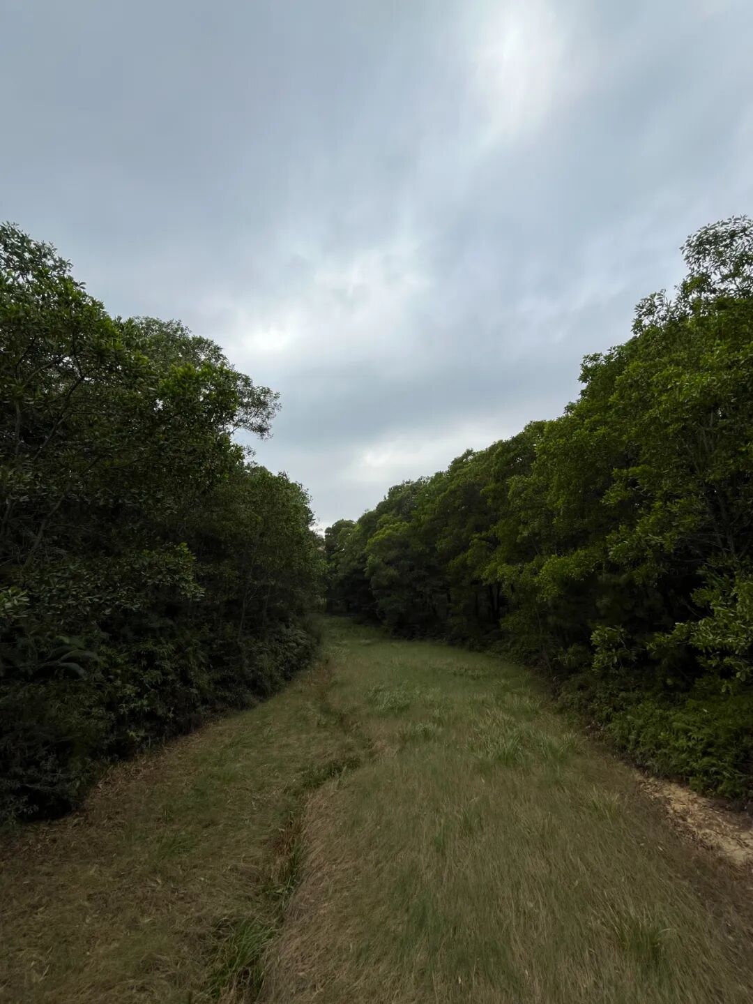 BTC现货ETF，明天会不会通过？