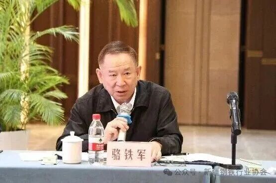 新疆重点钢铁企业负责人座谈会在库尔勒召开(图6)
