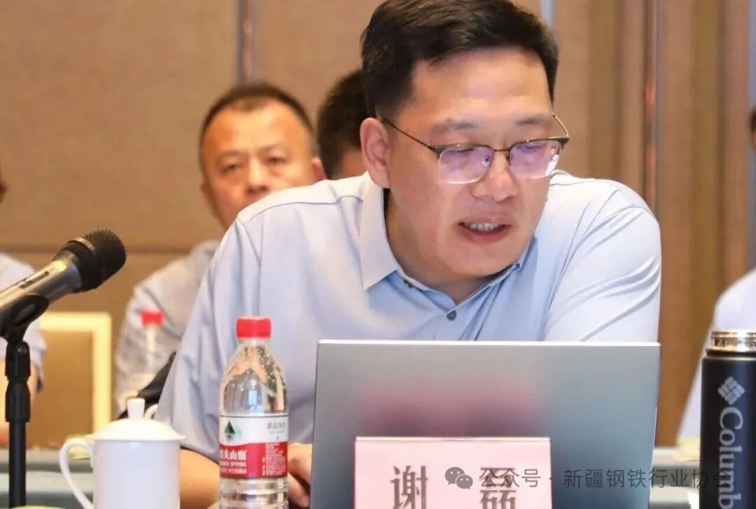 新疆重点钢铁企业负责人座谈会在库尔勒召开(图9)