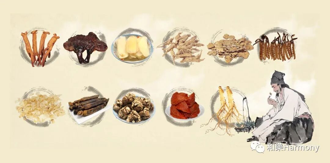 中药｜每一个药名，背后都有故事