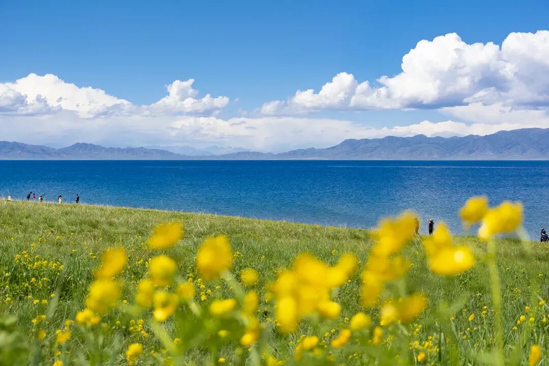 不到伊犁,不知新疆之美"地处天山西部的伊犁河谷素有"西域湿岛""塞外