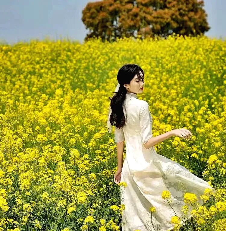 阳春三月畅享自然春暖花开游晋陕两省深度旅游摄影团