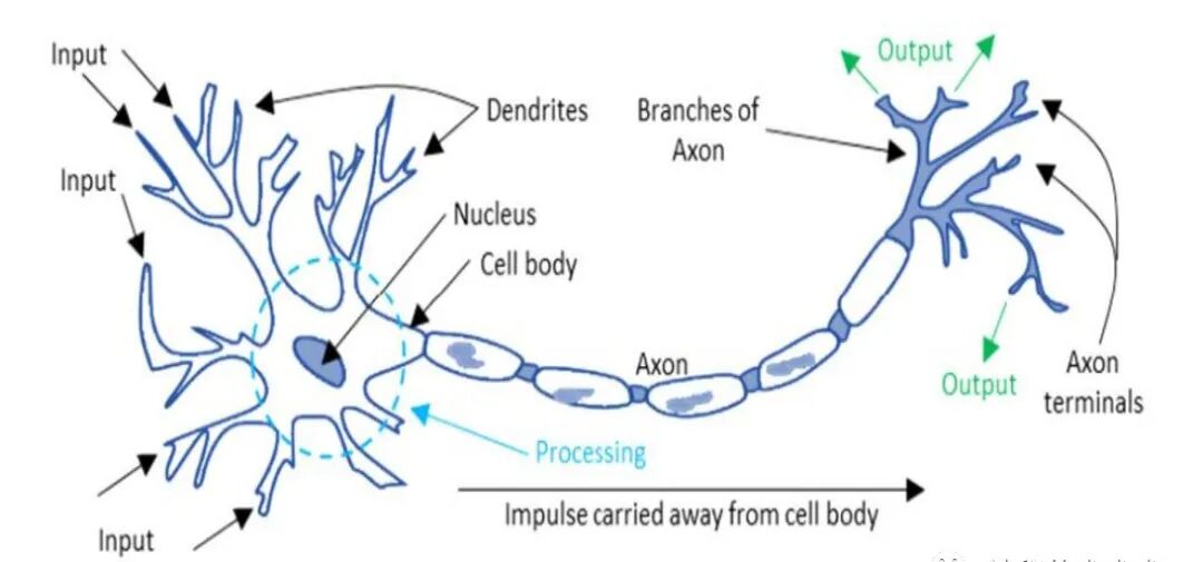 人工智能-人工神经网络