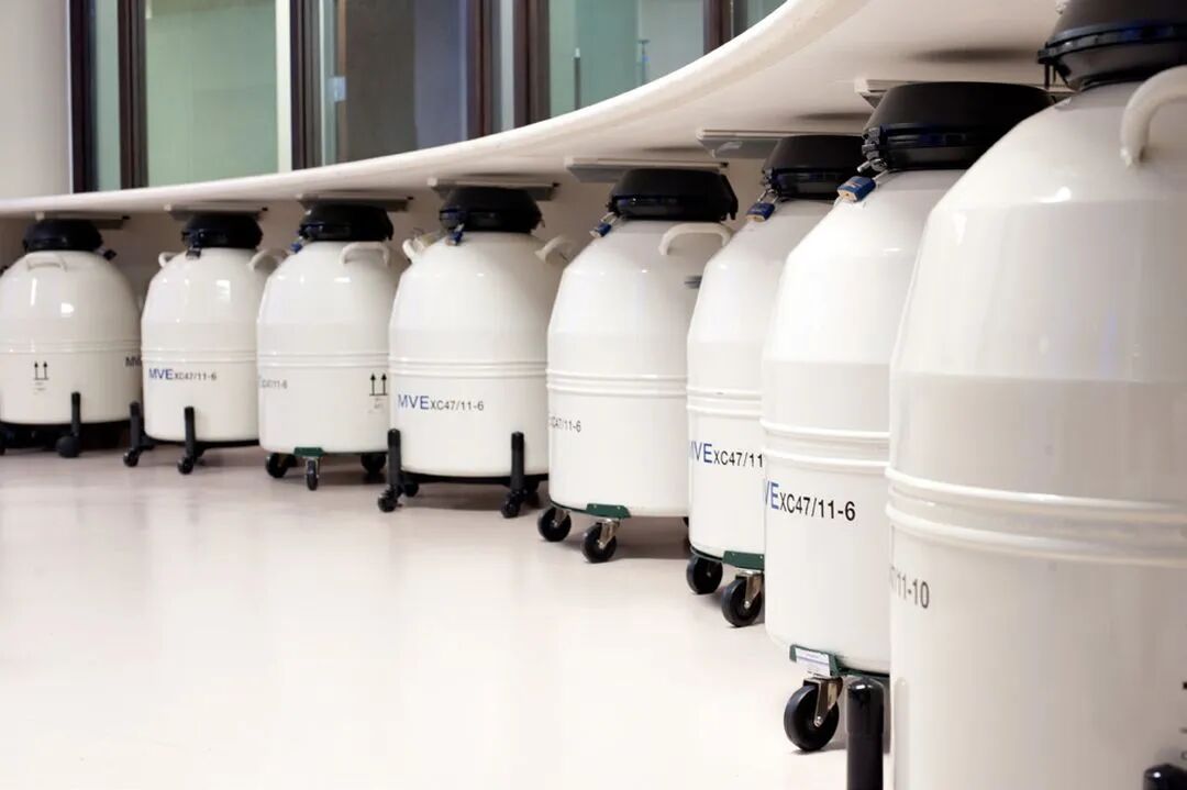 胚胎冷冻存储罐
