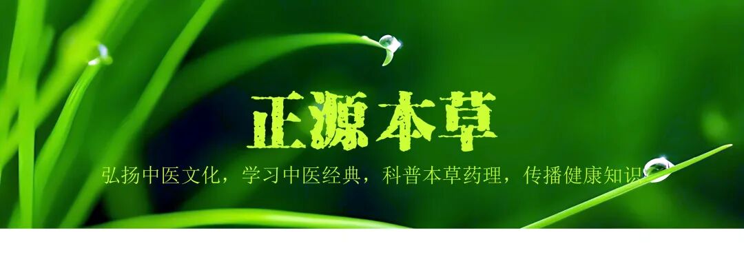 张仲景的小柴胡汤只换一味参，可清一身的淤血、痰湿、虚火！