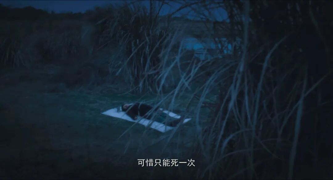是枝裕和坂元裕二最大的反转是那个期待恶而不是爱的结局的我