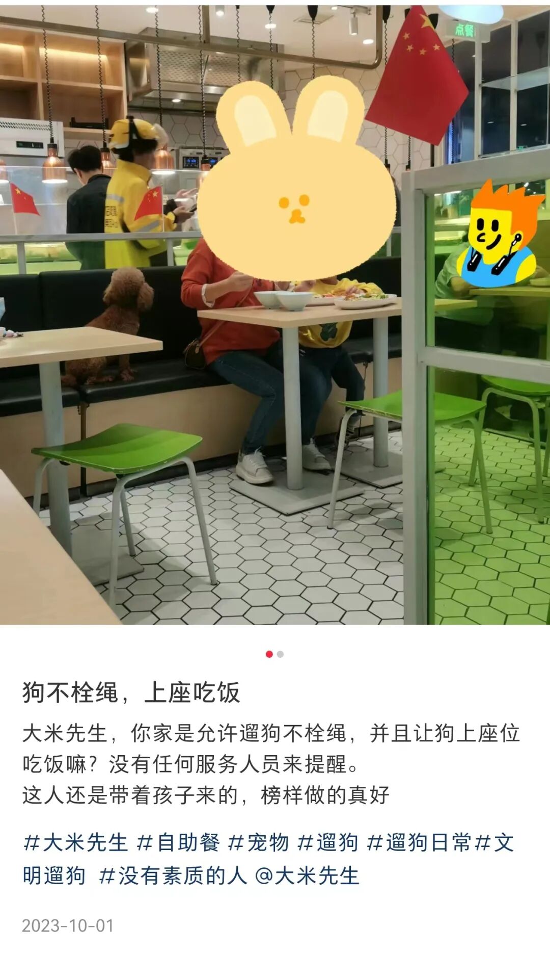 女子在大米先生就餐与宠物共用餐具，店家回应：已废弃该餐具