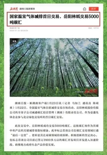 "美丽活力,绿色动力,生态实力"!岳阳林纸与春天一起奔赴第37个"绿色约