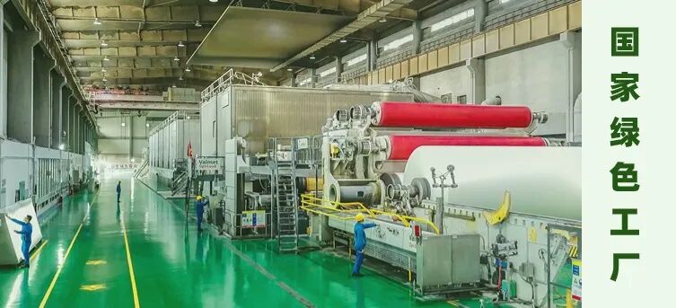 "美丽活力,绿色动力,生态实力"!岳阳林纸与春天一起奔赴第37个"绿色约