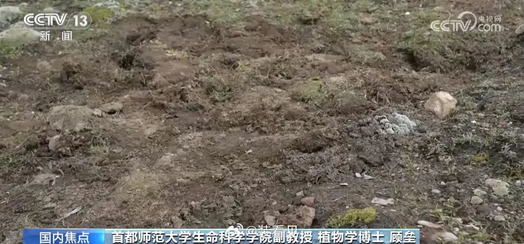 始祖鸟承诺