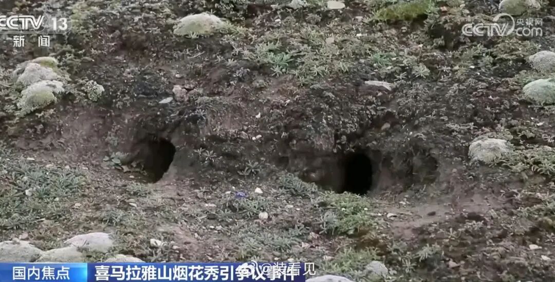 始祖鸟承诺
