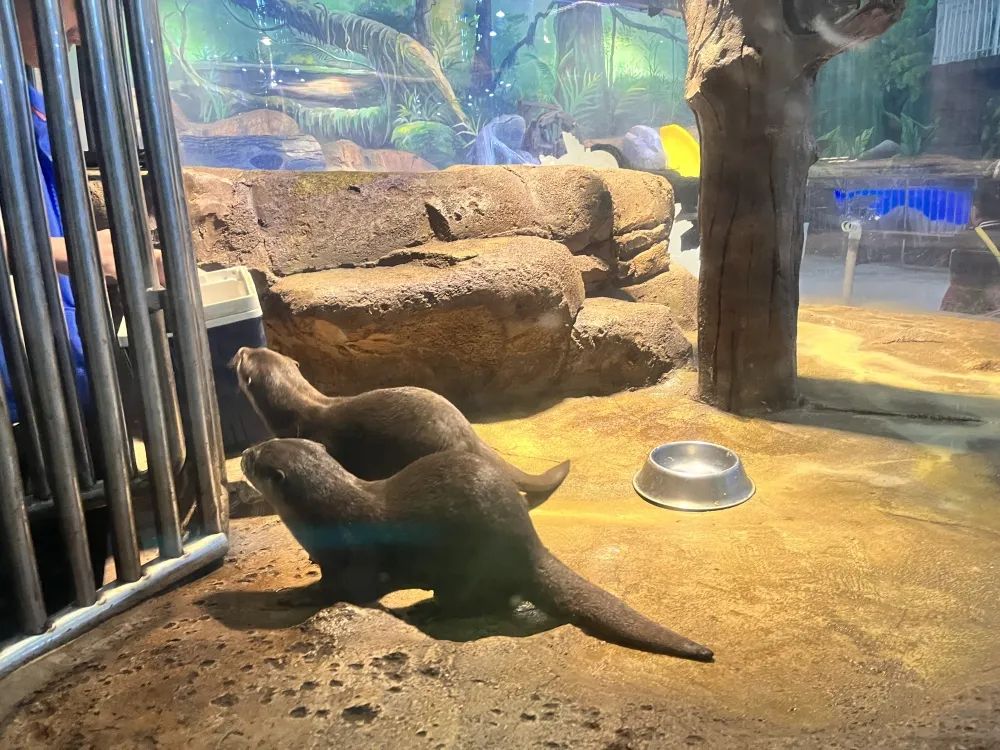 海底世界生物名称大全_海底世界的生物千奇百怪_世间海底生物