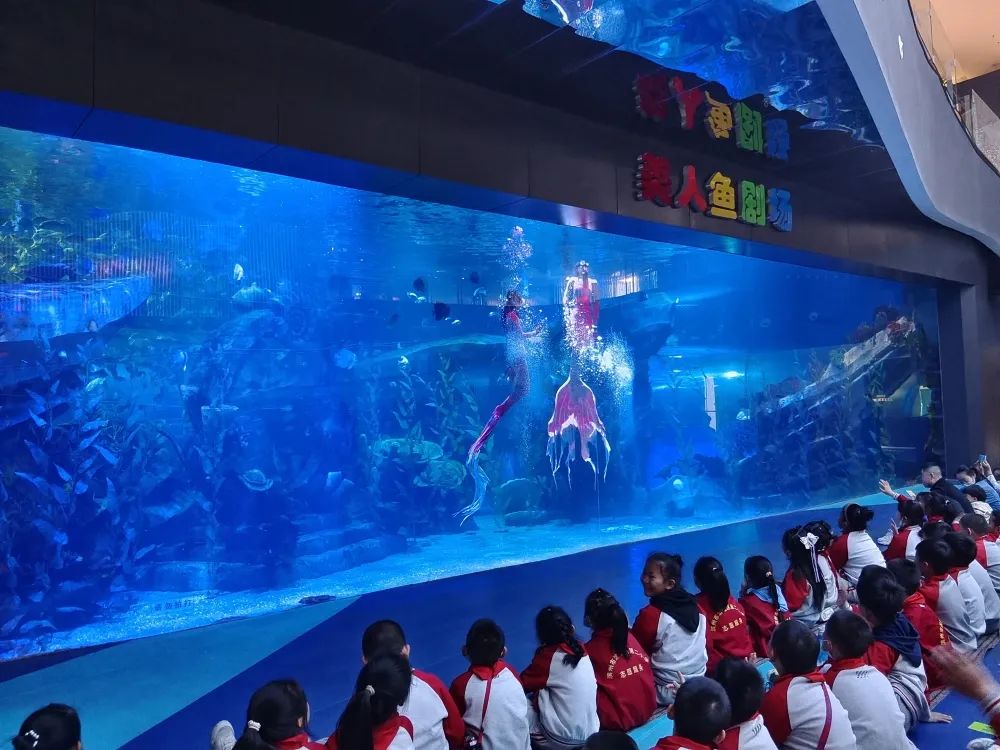 世间海底生物_海底世界生物名称大全_海底世界的生物千奇百怪