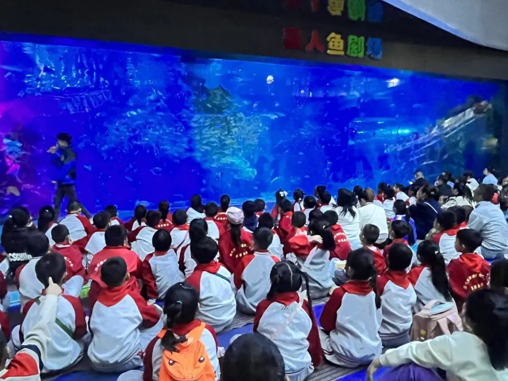 世间海底生物_海底世界的生物千奇百怪_海底世界生物名称大全