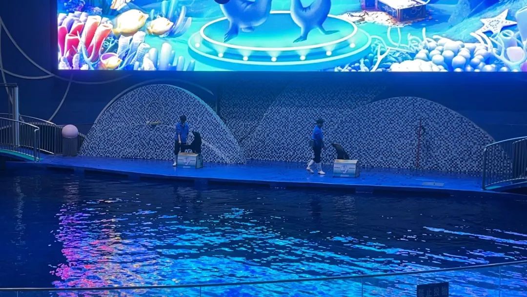 海底世界的生物千奇百怪_海底世界生物名称大全_世间海底生物