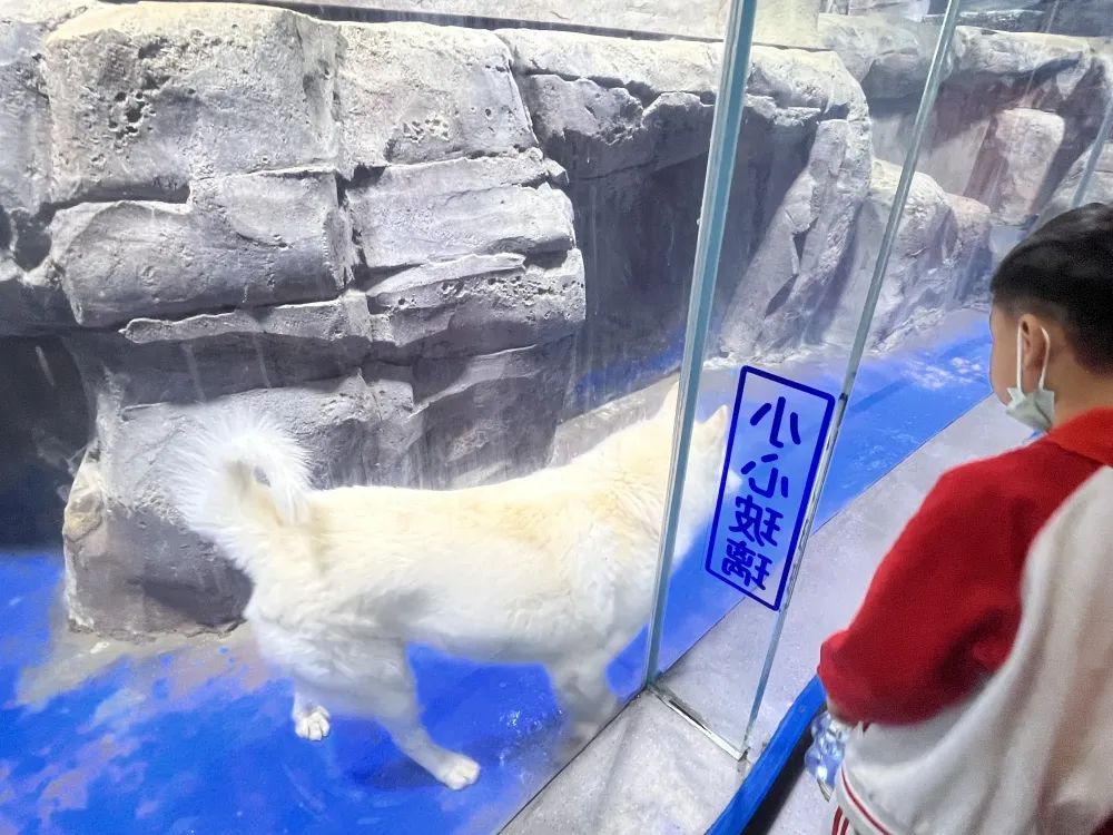 世间海底生物_海底世界生物名称大全_海底世界的生物千奇百怪