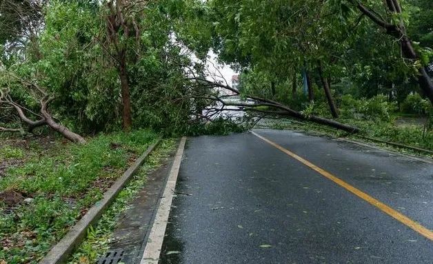 浙江福建大暴雨