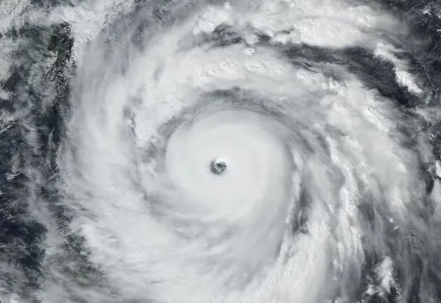 浙江福建大暴雨