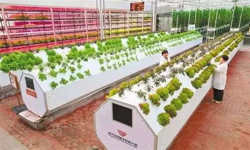 f18de092aeae812a8c9e868c8c9d612f