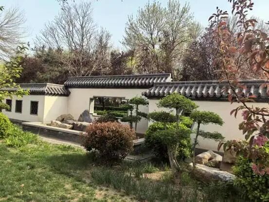 9cb005fb6ed10d6d7486c356d37513de