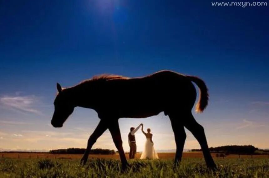 做梦梦见马跑了，探索梦境背后的深层含义与心理启示