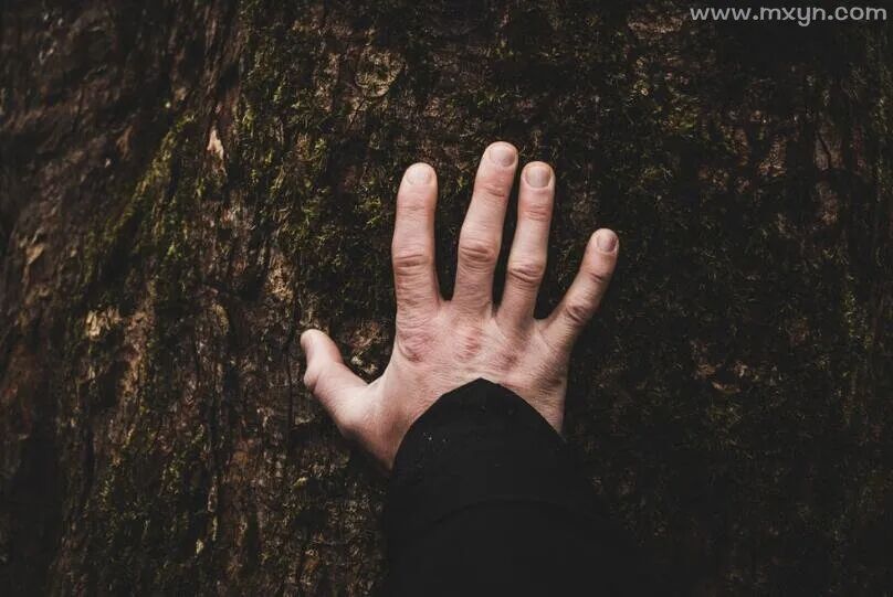 梦见自己的手指甲断了,探索梦境背后的深层含义 梦见自己的手指甲断了,探索梦境背后的深层含义