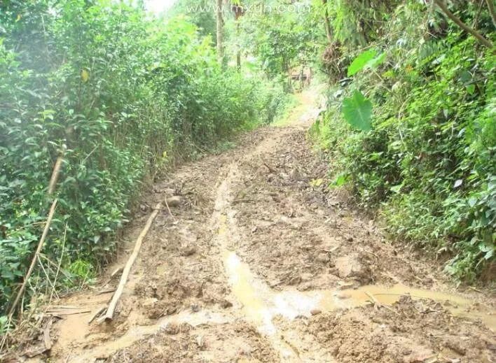 梦见道路泥泞难走_梦见 泥泞_梦见淋雨走在泥泞的路上