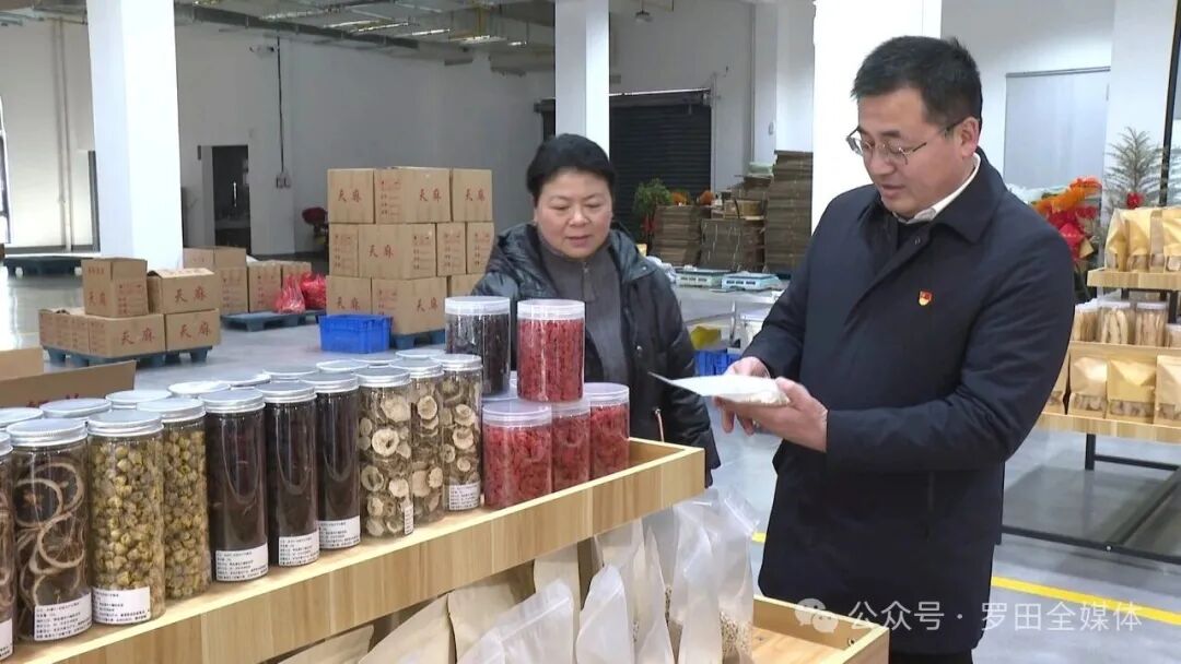 深入贯彻落实党的二十届四中全会精神