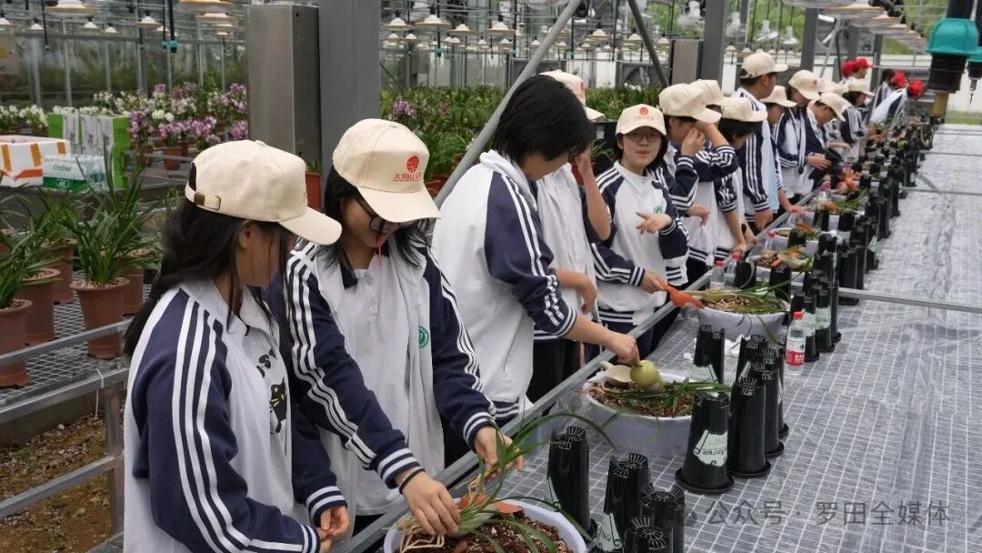 行走课堂践知行！罗田研学热潮持续