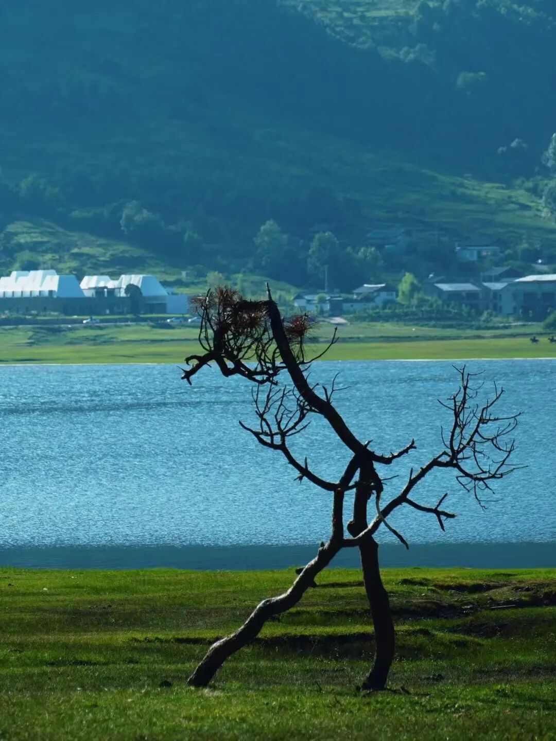 比阳朔更松弛，比腾冲更丰富！这个被《国家地理》称为“中国最美江湖”的地方，真的不一样！