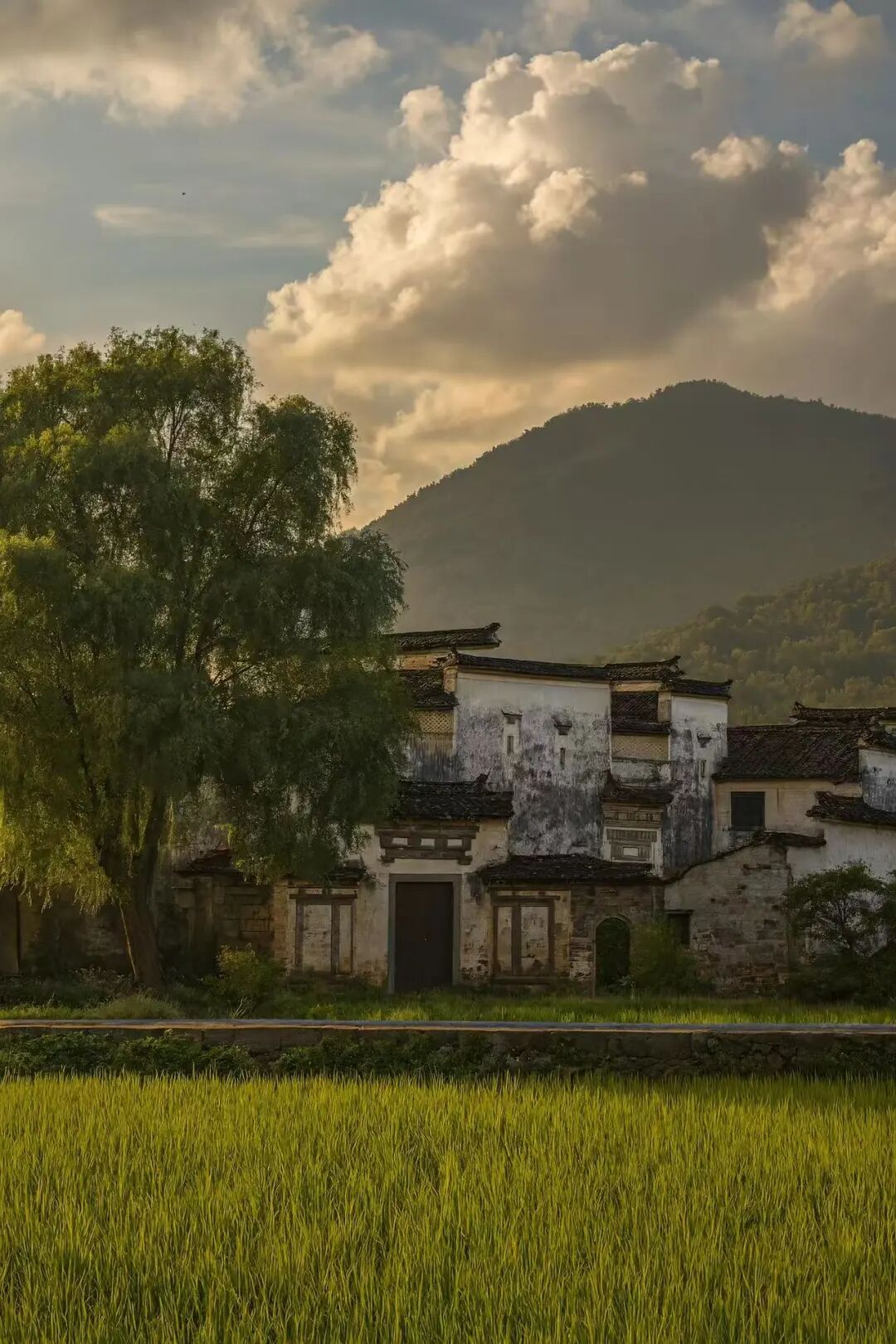 高铁直达！这个国风秋色天花板，比江南更江南，安逸而静谧，累了就去住两三天！