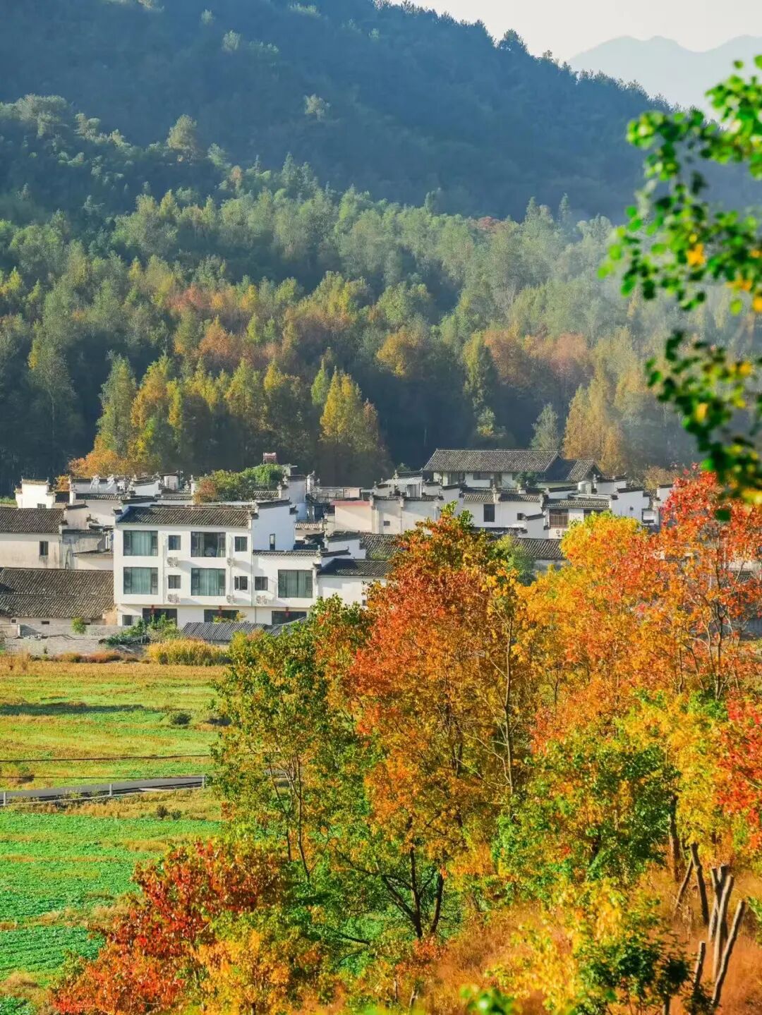 高铁直达！这个国风秋色天花板，比江南更江南，安逸而静谧，累了就去住两三天！