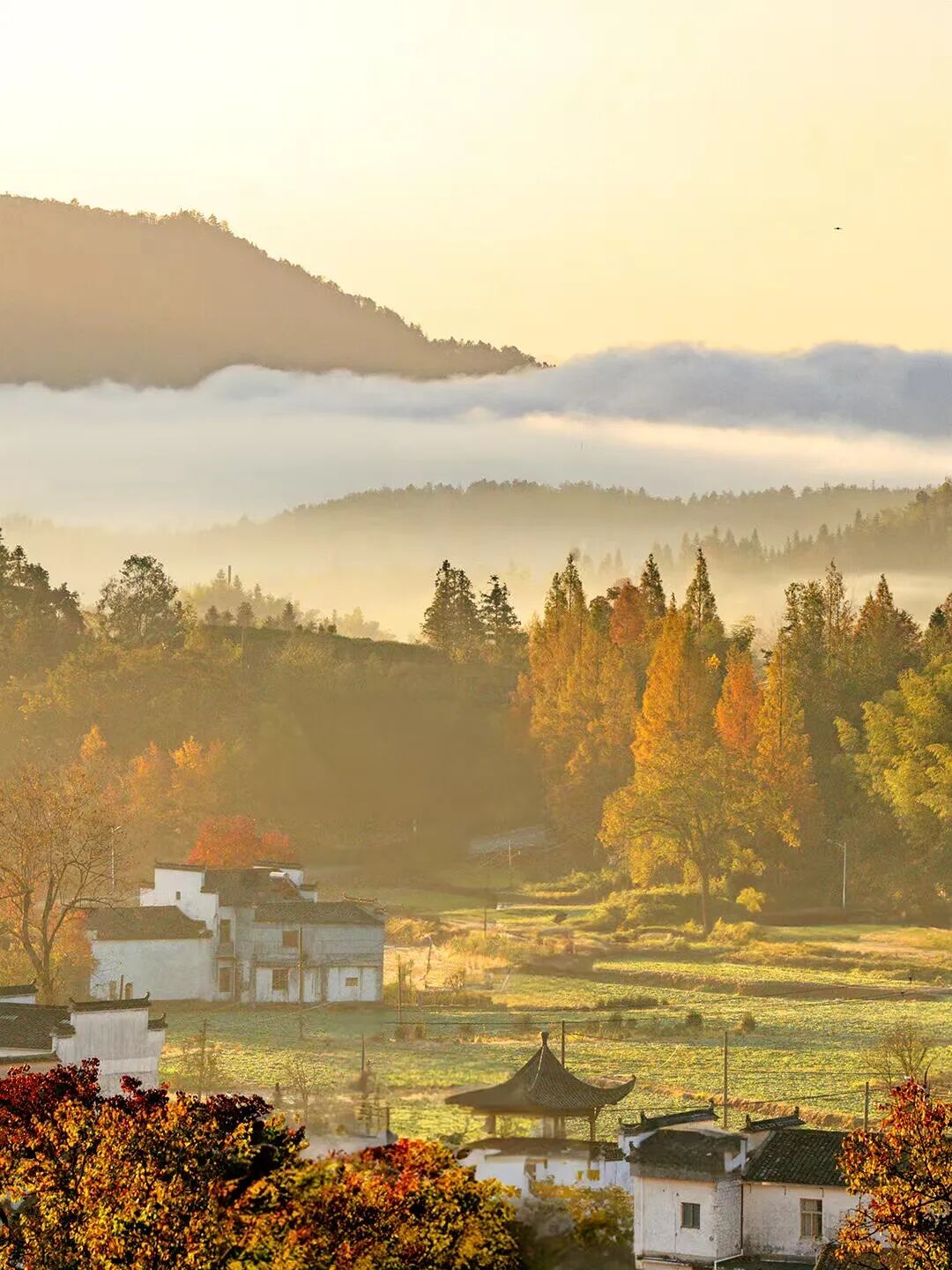 高铁直达！这个国风秋色天花板，比江南更江南，安逸而静谧，累了就去住两三天！