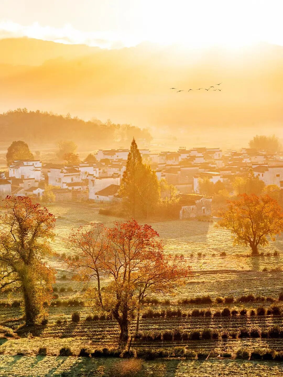 高铁直达！这个国风秋色天花板，比江南更江南，安逸而静谧，累了就去住两三天！