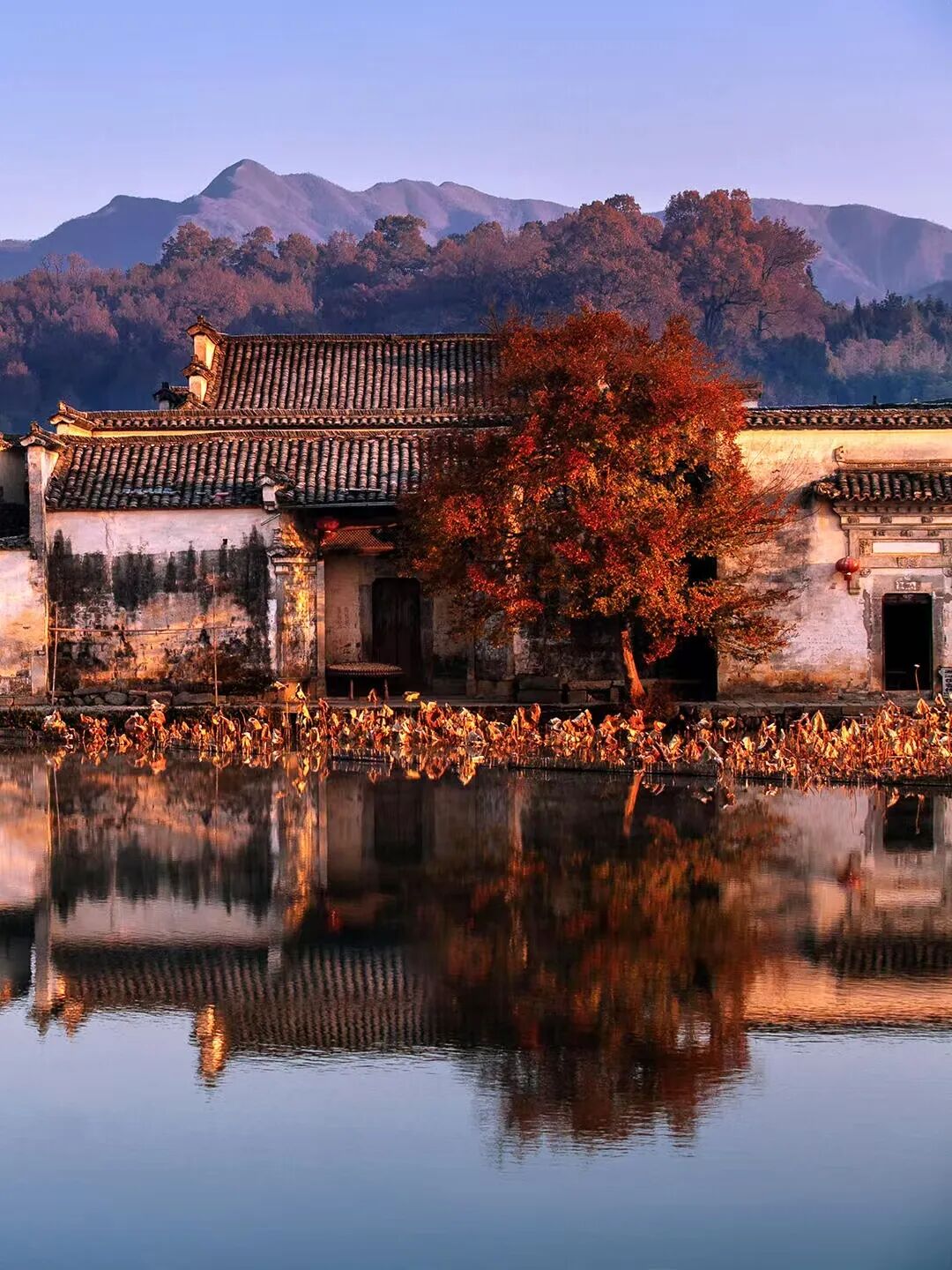 高铁直达！这个国风秋色天花板，比江南更江南，安逸而静谧，累了就去住两三天！