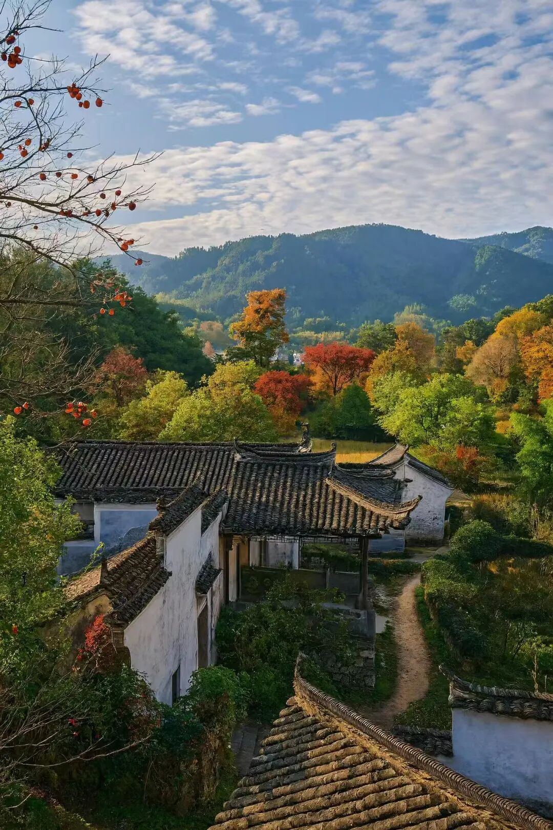 高铁直达！这个国风秋色天花板，比江南更江南，安逸而静谧，累了就去住两三天！