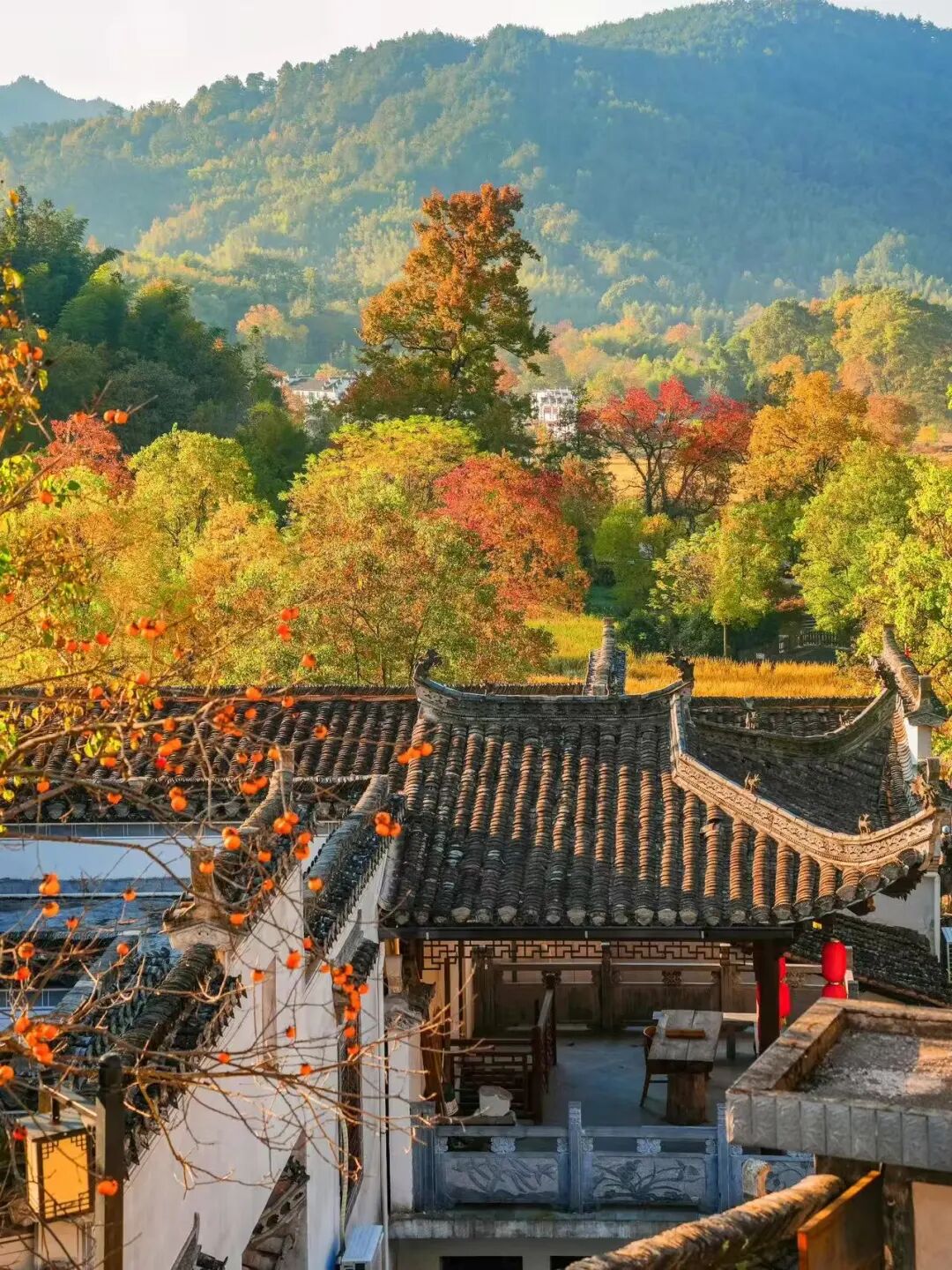 高铁直达！这个国风秋色天花板，比江南更江南，安逸而静谧，累了就去住两三天！