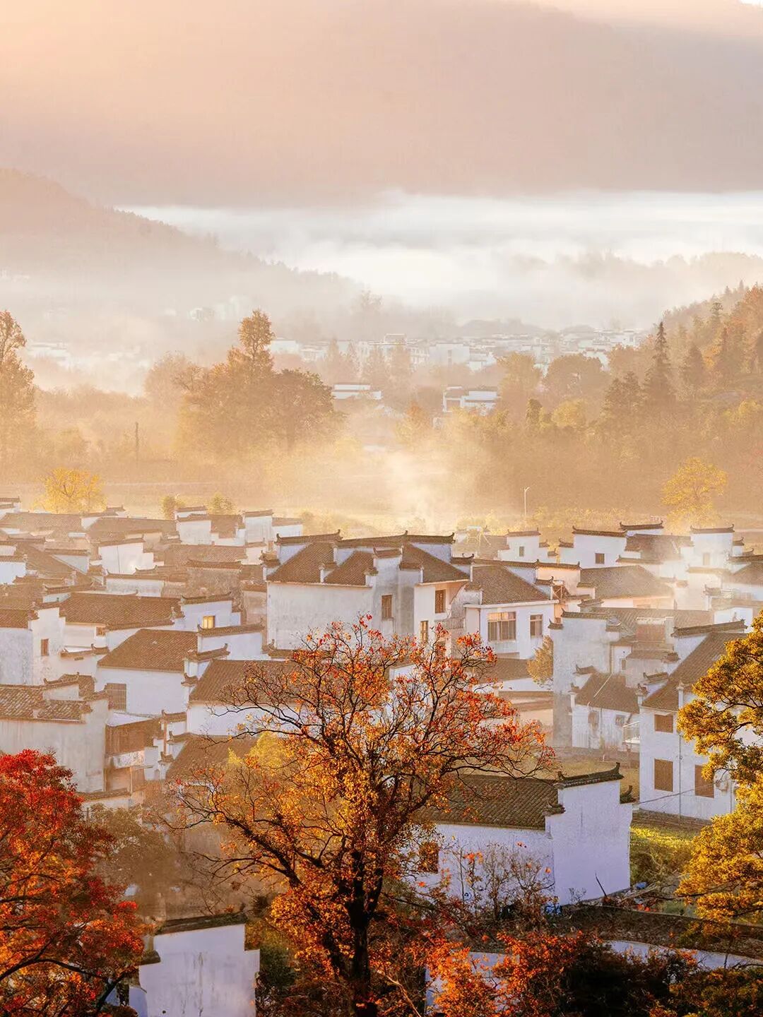 高铁直达！这个国风秋色天花板，比江南更江南，安逸而静谧，累了就去住两三天！