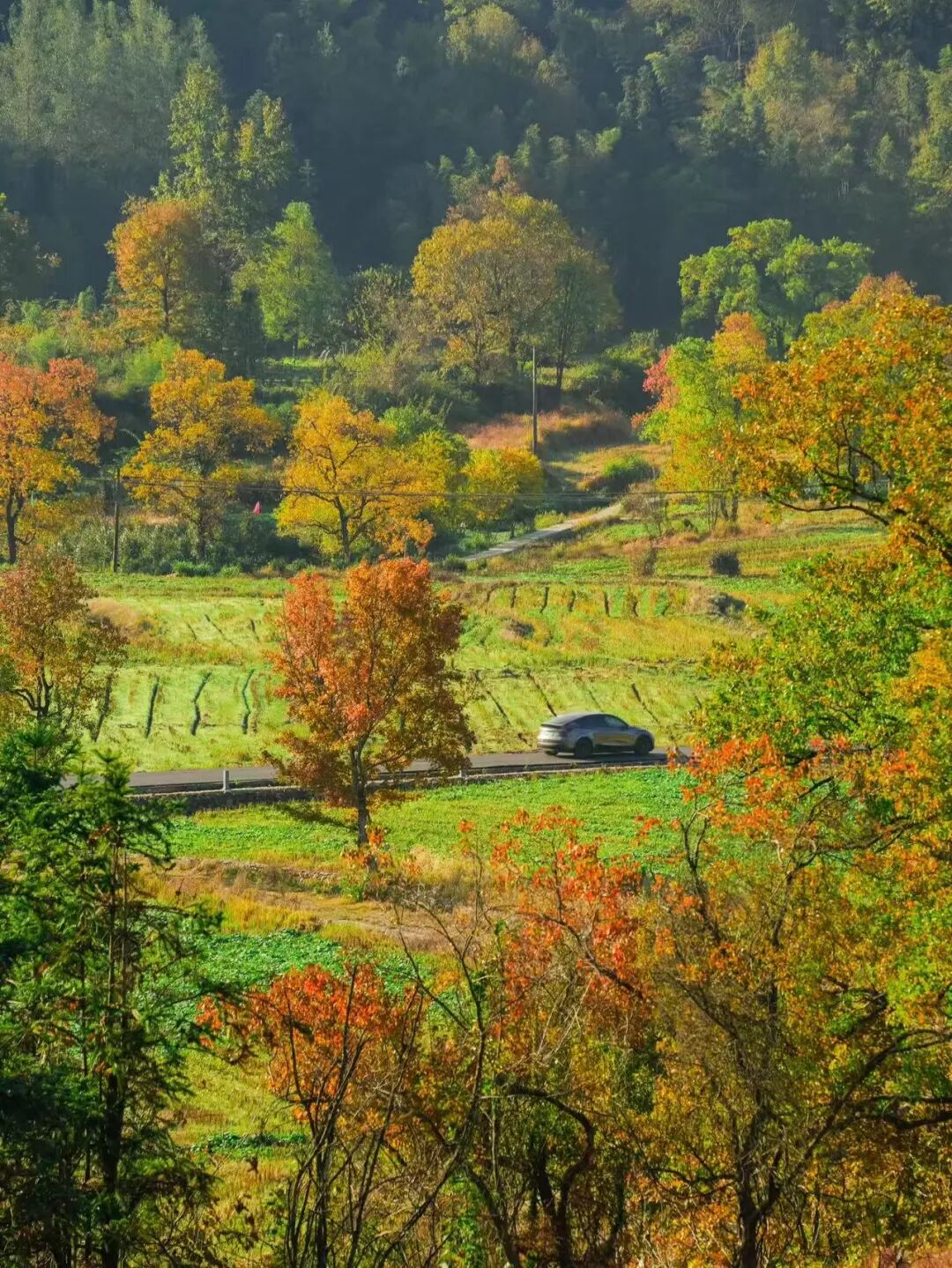 高铁直达！这个国风秋色天花板，比江南更江南，安逸而静谧，累了就去住两三天！